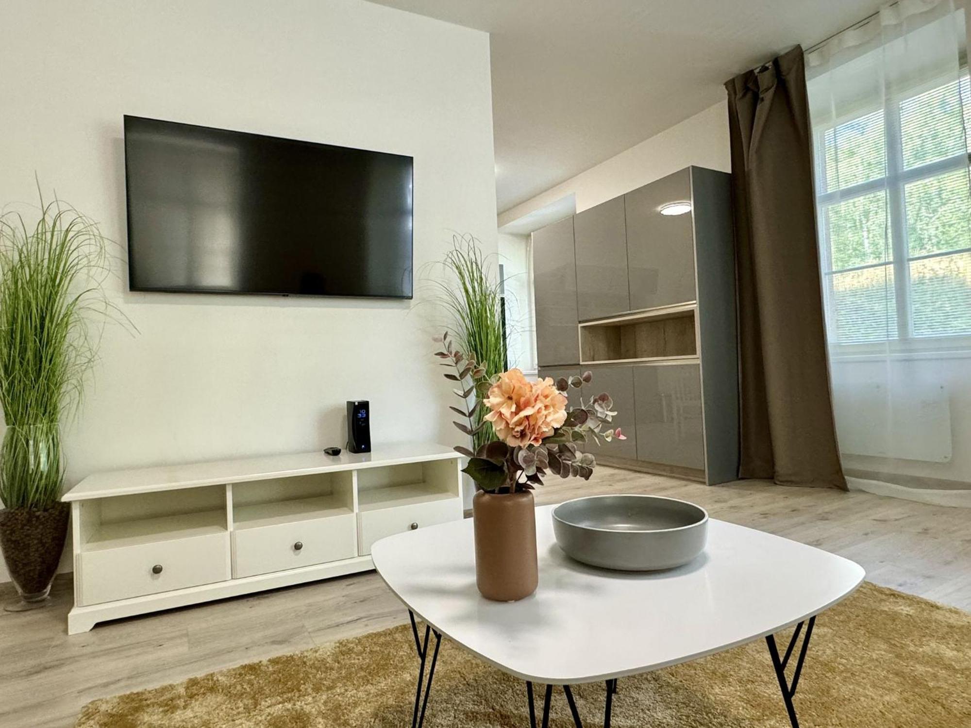 Rivercity Apartments カルロヴィ・ヴァリ エクステリア 写真